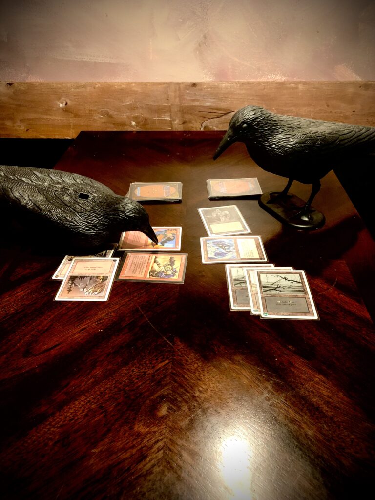 TCG playing ravens contemplate Magic: the Gathering at Nevermore Game Club